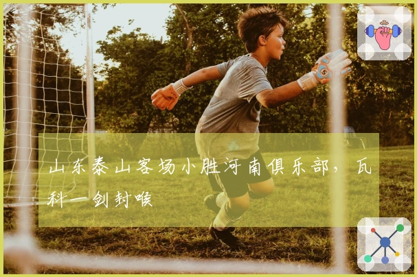 山东泰山客场小胜河南俱乐部，瓦科一剑封喉